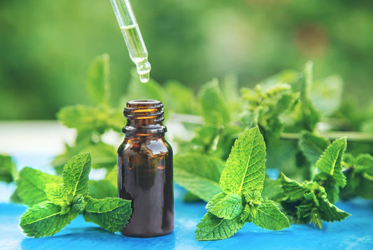 Peppermint Oils in Topicals